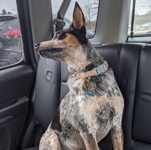 All reasonable offers are welcome